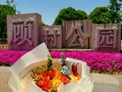 -顾村公园