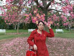 -广州花之恋城堡酒店