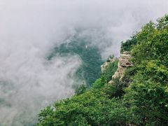 -牛背梁国家森林公园