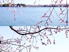 -颐和园