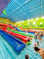 -宝燕乐园(闵行旗舰店)