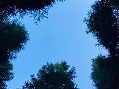 -丝绸之路山地度假区滑雪场