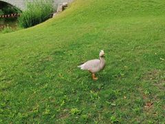 -河北省园博园