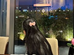 -彩丰楼·中餐厅(国家会展中心上海洲际店)