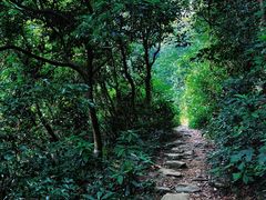 -梧桐山风景名胜区