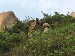 -洋山深水港