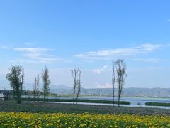 -大理洱海