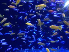 -成都浩海立方海洋公园