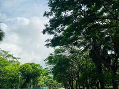 -厦门园林博览苑