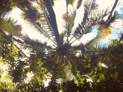 -海南槟榔谷黎苗文化旅游区