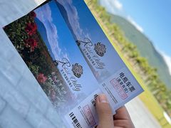 -亚龙湾国际玫瑰谷