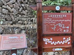 -武夷山风景名胜区-虎啸岩