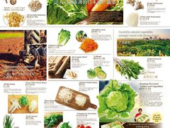 菜单-しゃぶしゃぶ温野菜(京都河原町蛸薬師店)