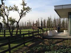 -田园东方蜜桃村的田野营地