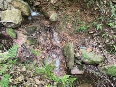 -冶父山国家森林公园
