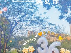 -二沙岛艺术公园
