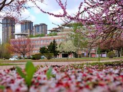 -辽宁大学(崇山校区)