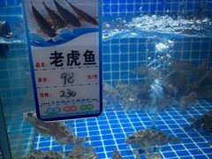-阿军排档·烧烤
