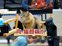 -UME影城(安贞DTS:X店)