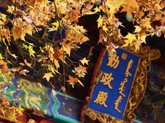 -香山公园