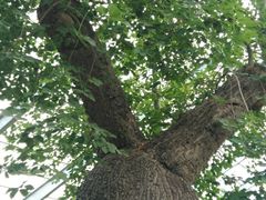 -南通洲际绿博园