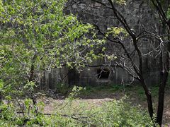 -北京鹫峰国家森林公园