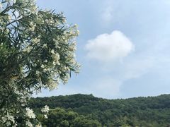 -乌石塘景区