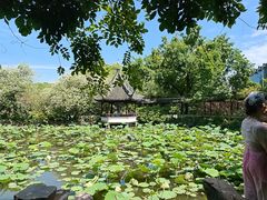-上海醉白池公园