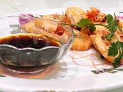 -汤山温泉房车营地 茶温泉