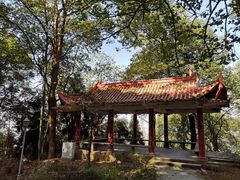 -南山植物园