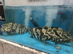 -小时候文化主题餐厅(田家店)