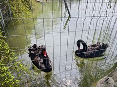 -上海怡沁园度假酒店