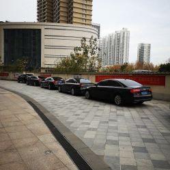 -蚂蚁婚车