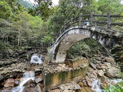 -姑婆山旅游区