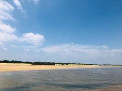-日照海滨国家森林公园
