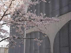 -龙美术馆(西岸馆)