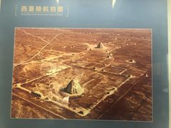 -宁夏博物馆