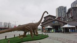 -恐龙探索乐园(磁器口店)