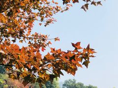 -广州市白云山风景名胜区