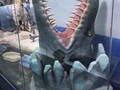 -陕西自然博物馆