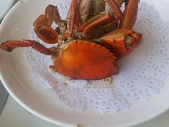 -鑫悦楼煎蟹·16年海鲜大排档