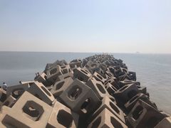 -东疆建设开发纪念公园