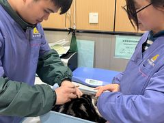 -半岛宠物医院24小时(西派城店)