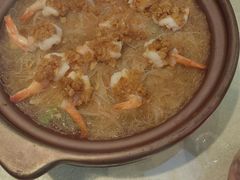-邵年鸽(杨庄店)