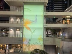 -深圳湾万象城(南山店)