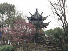 -丝绸小镇荻港古村