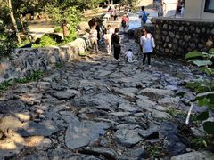 -阳台山自然风景区