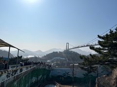 -西霞口神雕山野生动物世界