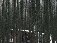 -山王坪喀斯特国家生态公园