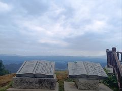 -紫鹊界梯田景区